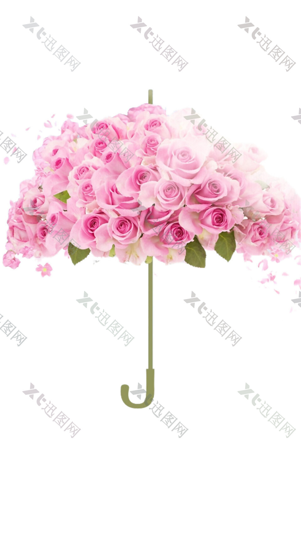 粉色玫瑰花素材图片