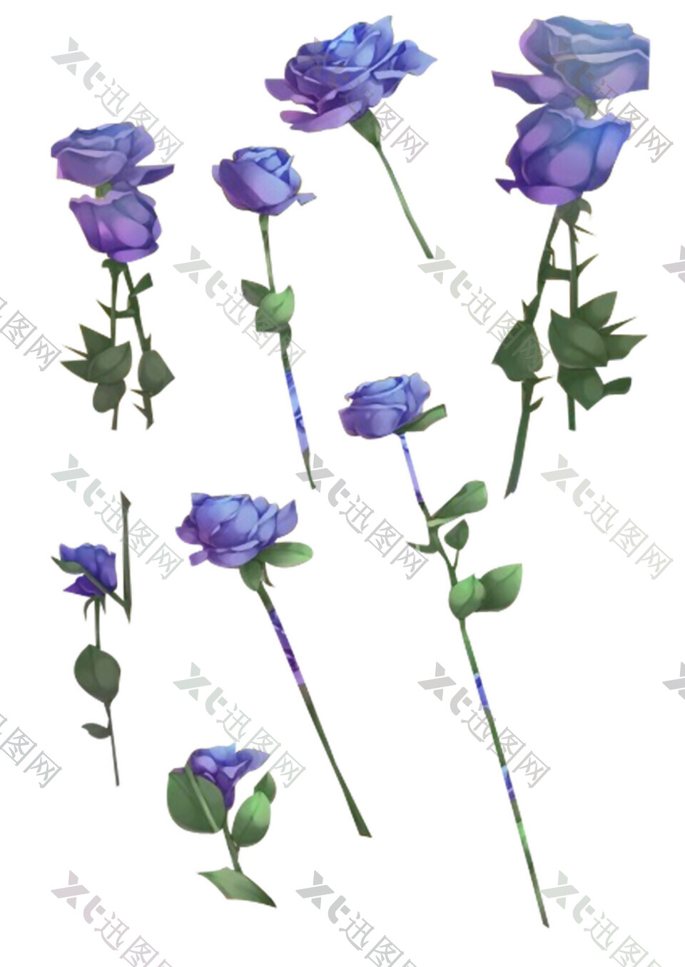 紫色玫瑰花素材图片