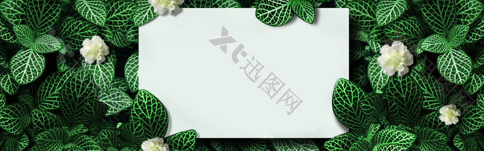 绿色花朵叶子淘宝全屏banner背景
