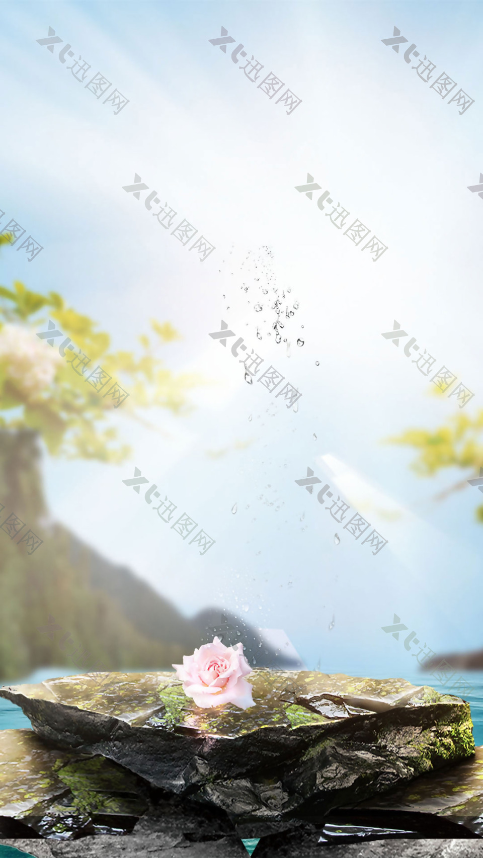 粉色花朵石头蓝天H5背景素材