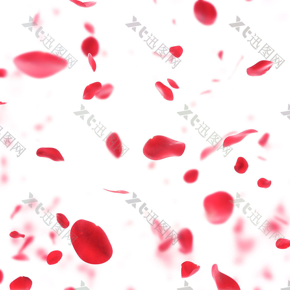 手绘红色花瓣元素