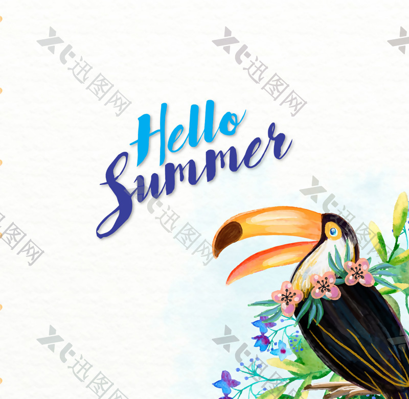 彩绘夏季犀鸟和花卉矢量