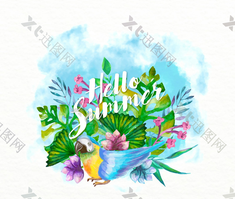 水彩绘夏季花卉和鹦鹉矢量