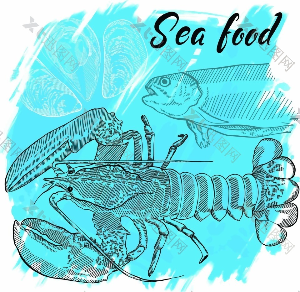 素描手绘美味的大龙虾插画