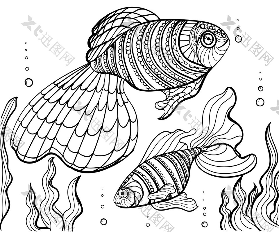 黑白线条金鱼插画