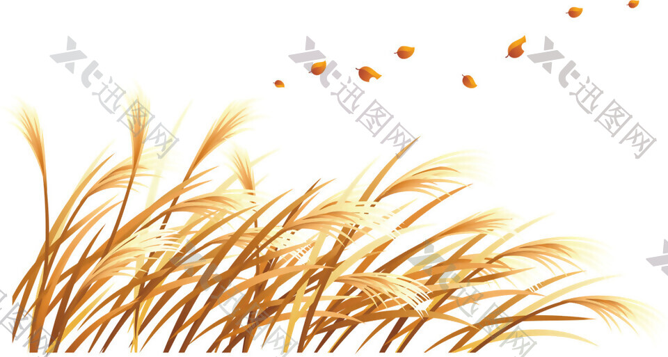秋季稻草装饰元素