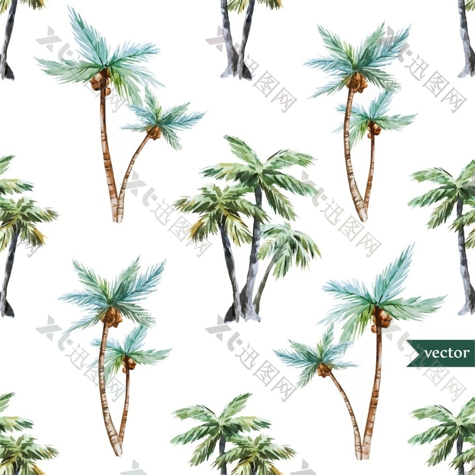 热带椰子树背景