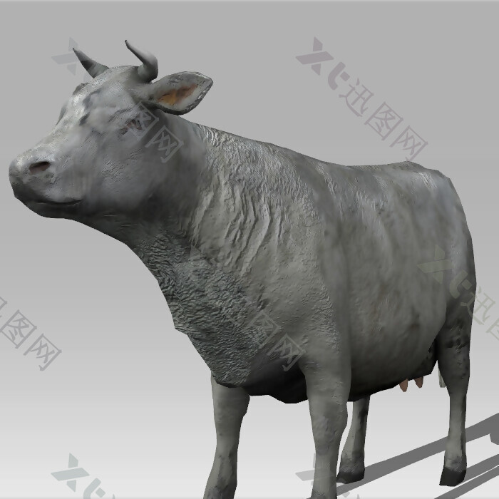 卡通动物牛模型