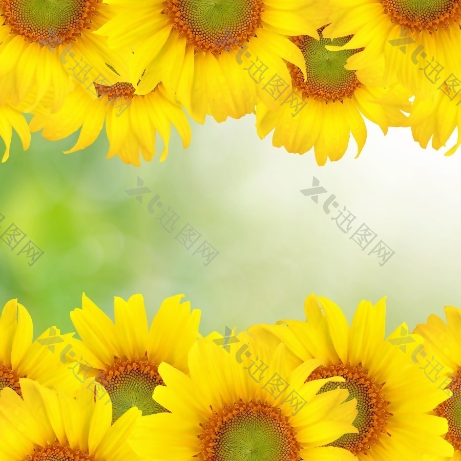 3D彩绘向日葵背景墙