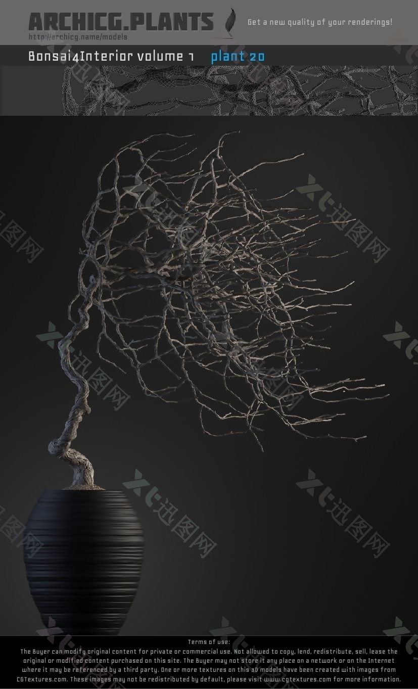 欧美风花瓶植物3D模型