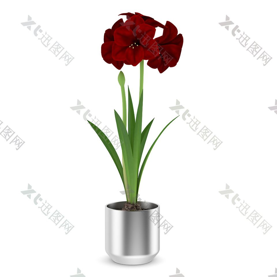 红色花卉模型素材