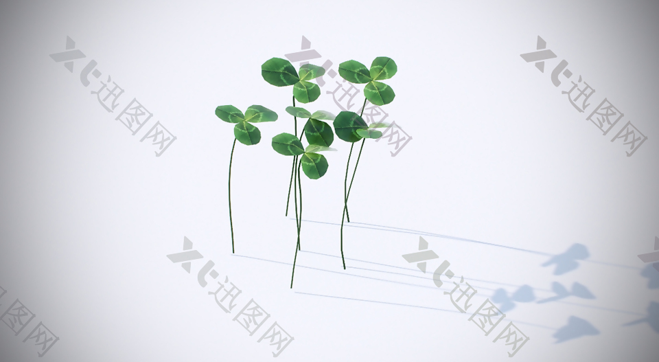 四叶草植物模型