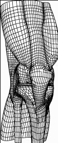 动画三维立体膝盖设计图