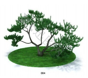 造型感强的树木模型