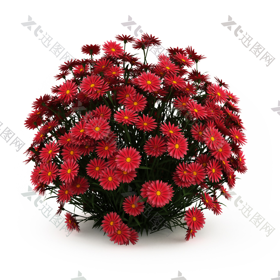 红色花卉模型图