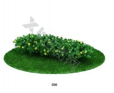 花卉植物模型