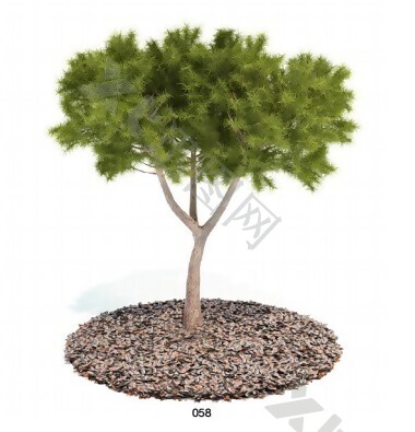 绿植Arch树模型