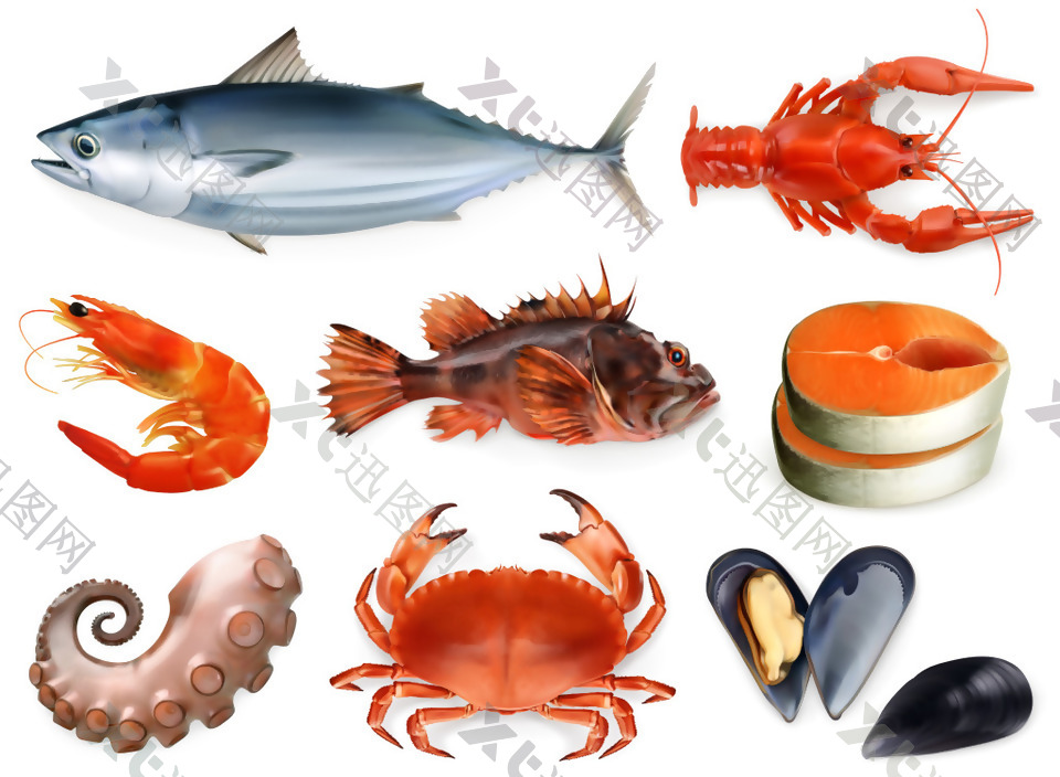 新鲜的海鲜食材插画