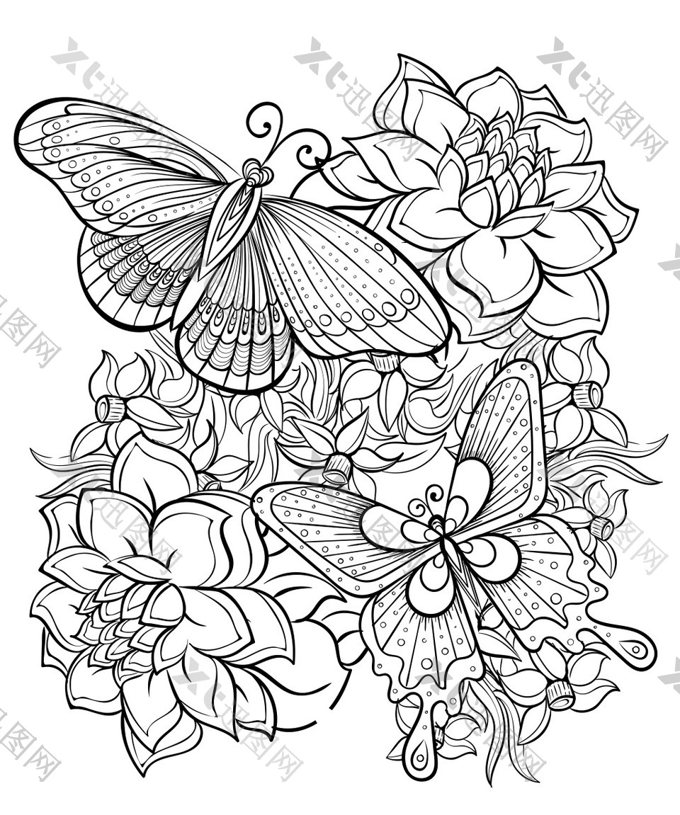 黑白时尚花朵和蝴蝶插画