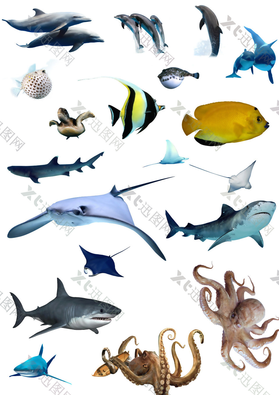 深海生物卡通图案