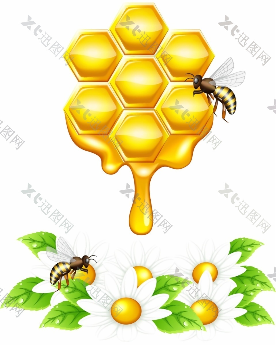 金黄色蜂蜜矢量