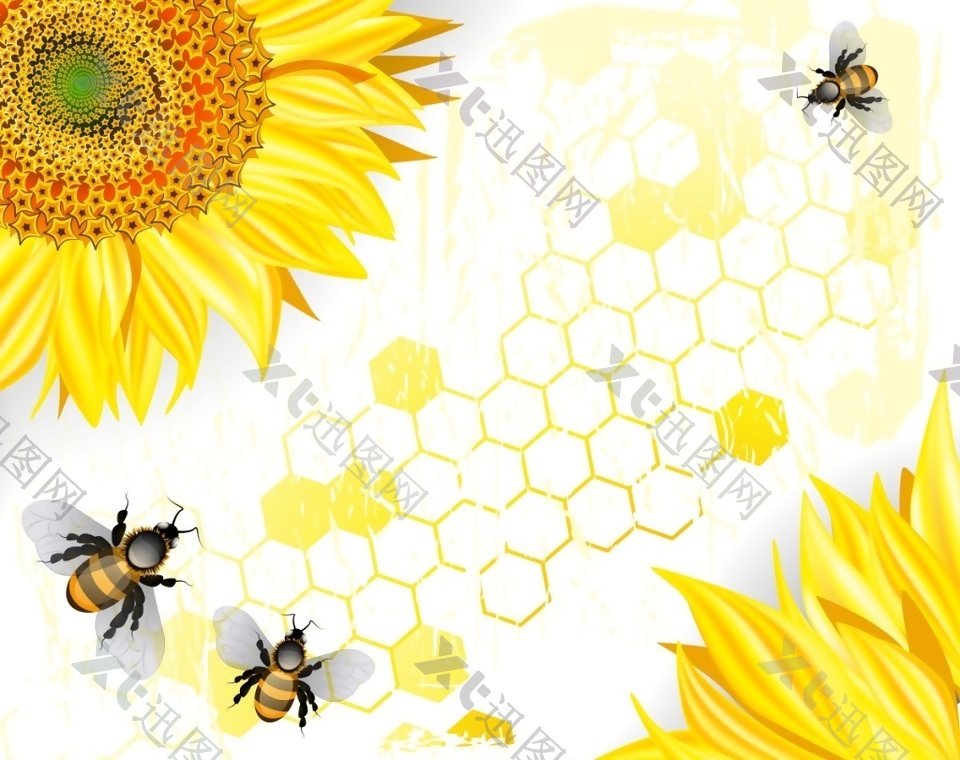 春天向日葵蜂巢蜜蜂蜂蜜瓢虫田园矢量素材