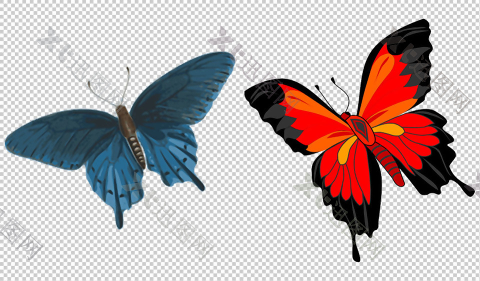 两只漂亮蝴蝶免抠png透明图层素材