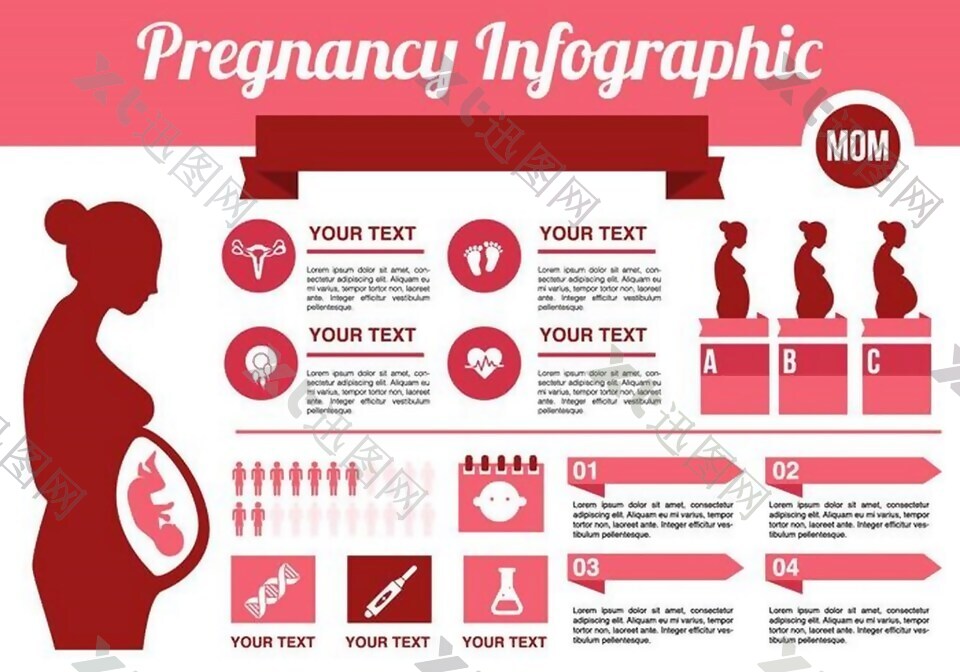 免费怀孕信息向量