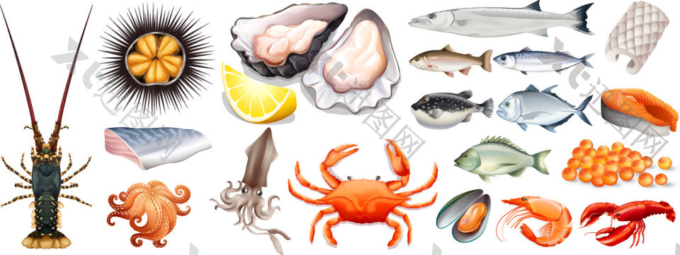 写实新鲜海鲜食材插画