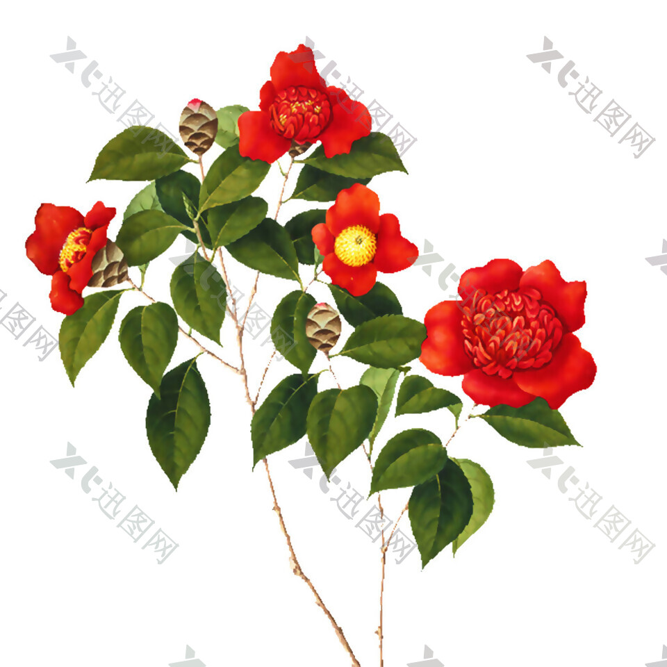 红色花树图案元素