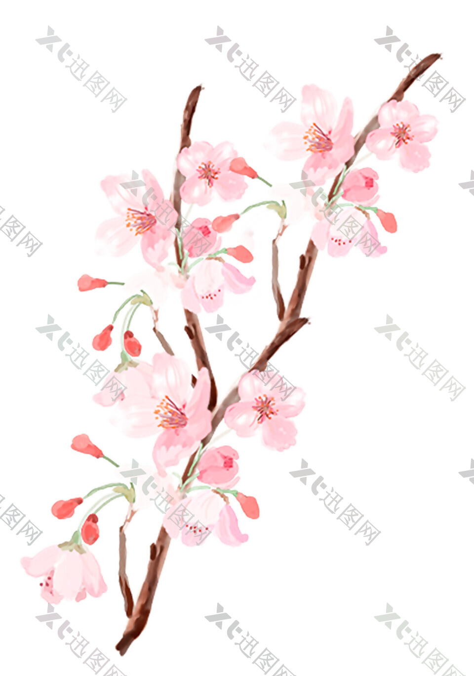 彩绘粉色花卉图案元素