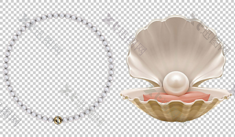 漂亮贝壳珍珠免抠png透明图层素材