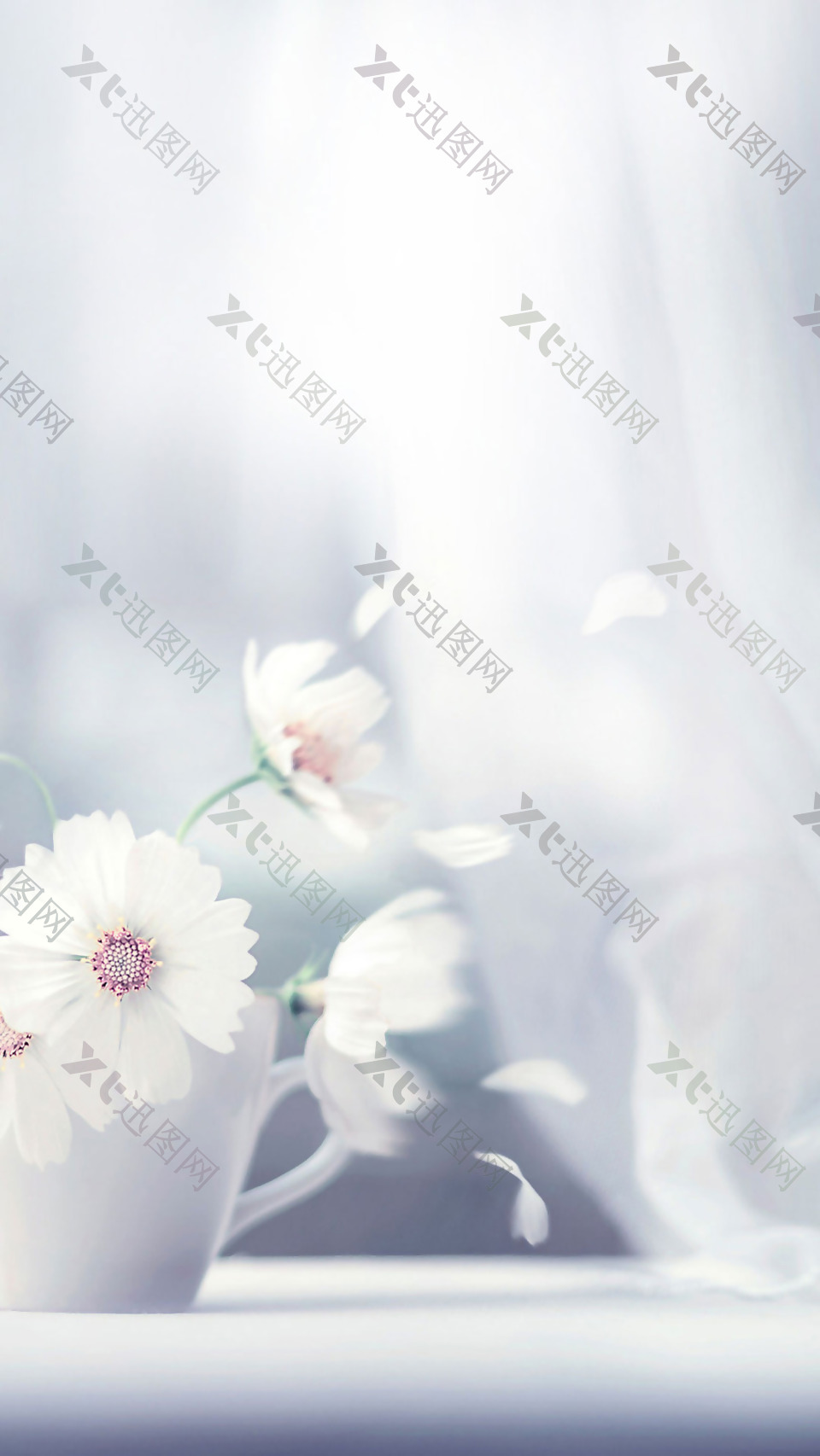 清新白色花朵H5背景素材