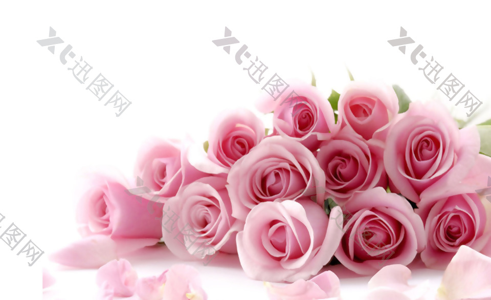 浪漫粉色玫瑰元素