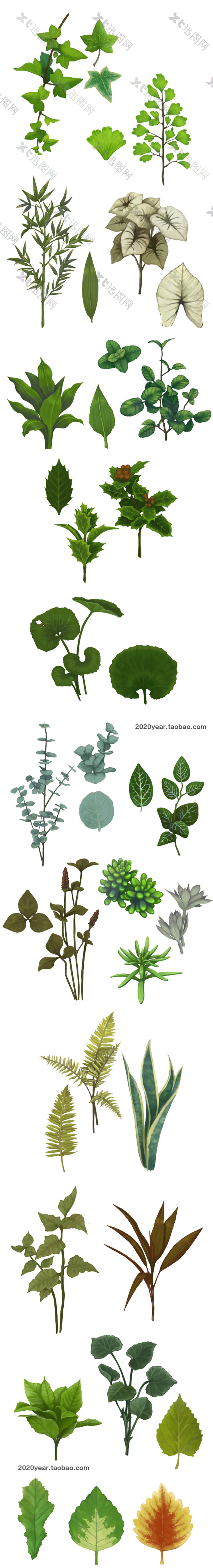 手绘绿色植物图案