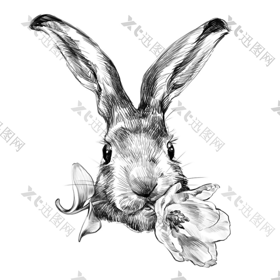 兔子插图背景