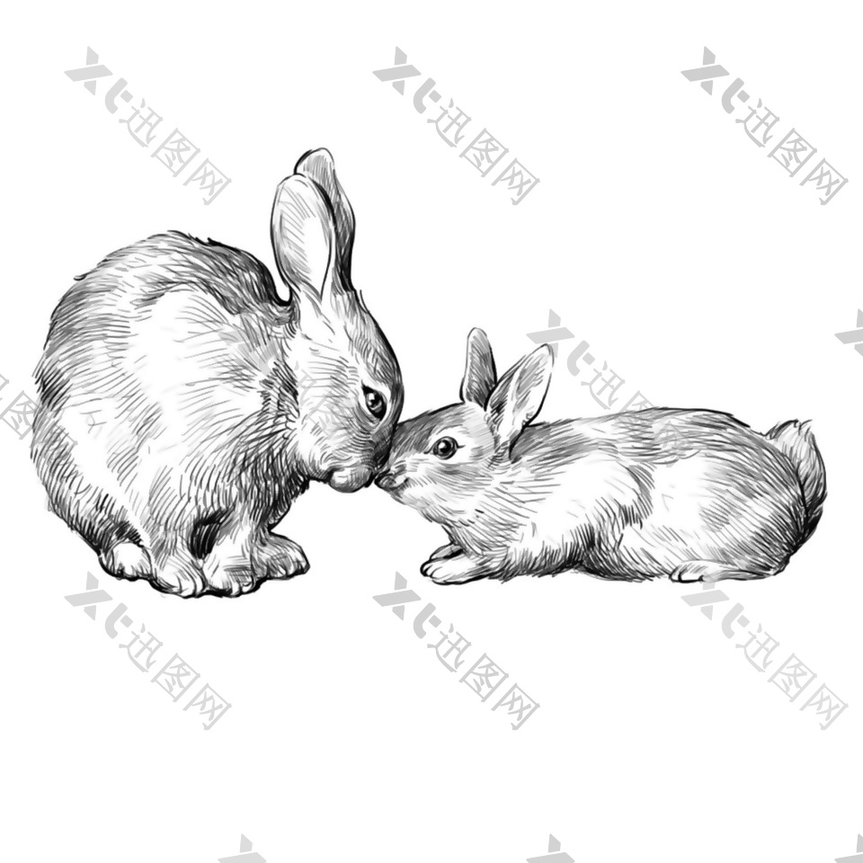 浪漫可爱兔子插图背景