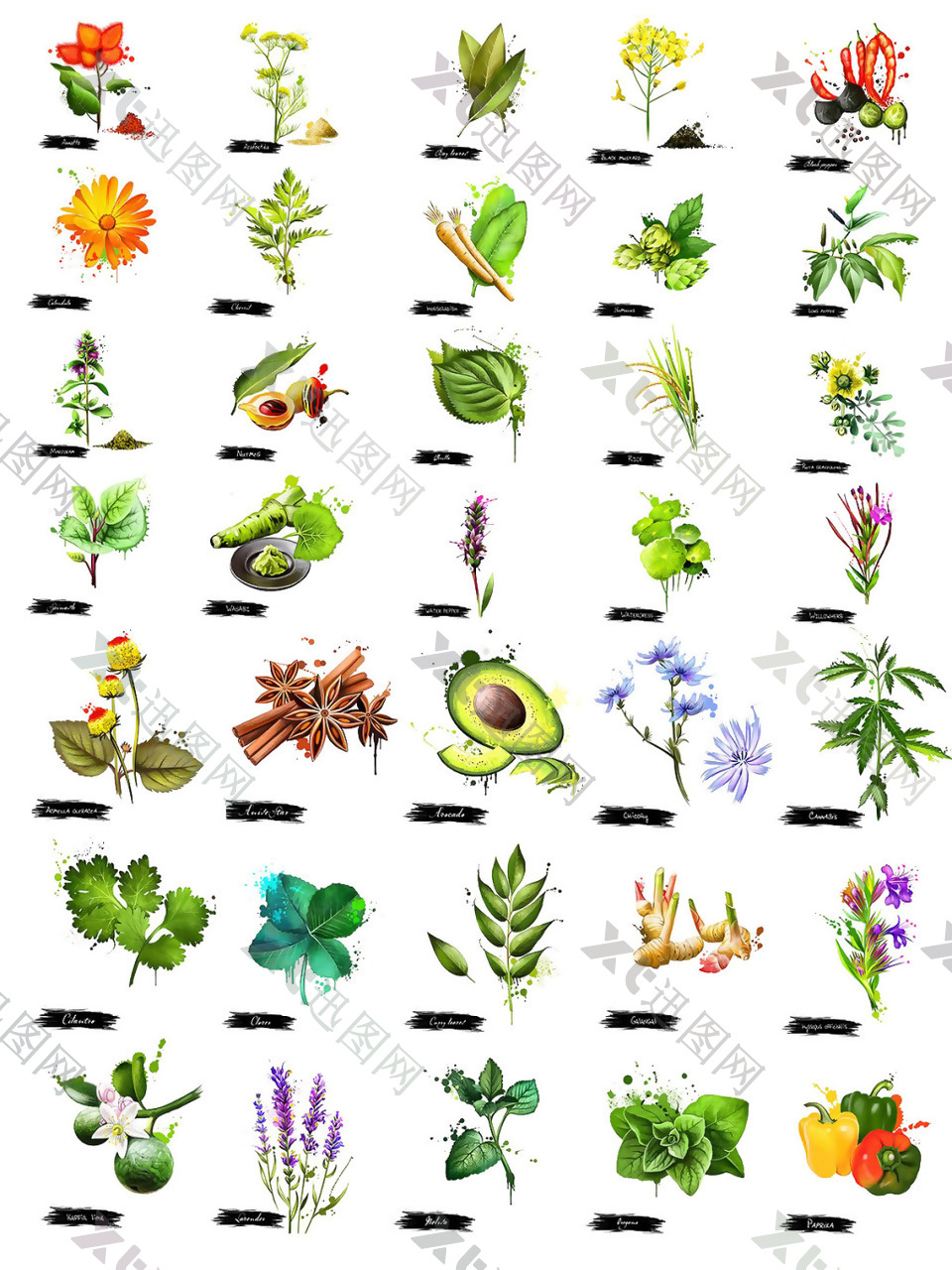 手绘花朵蔬菜图案
