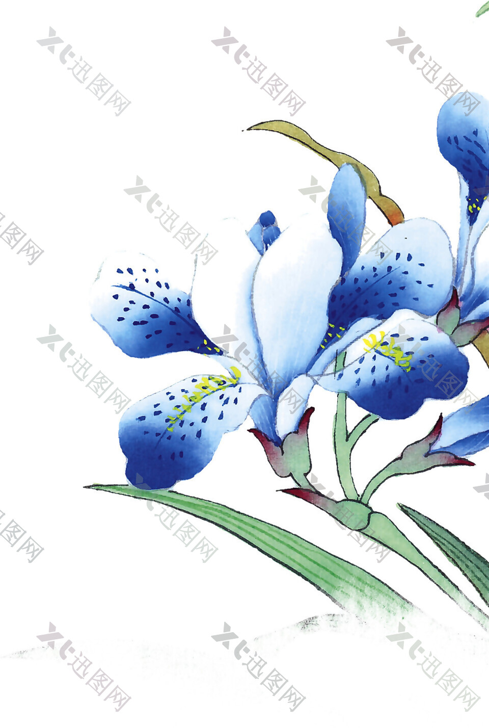精美蓝色花朵素材图片