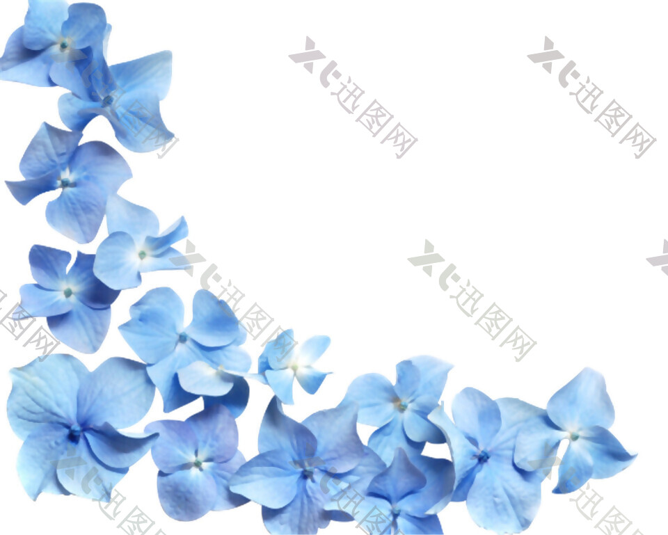 手绘唯美蓝色花朵素材图片