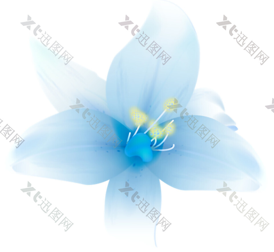 盛开的蓝色百合花