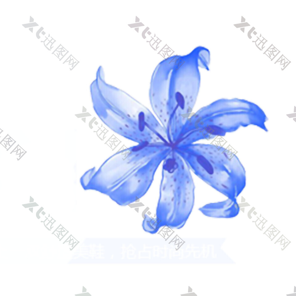 盛开的蓝色花朵素材图片