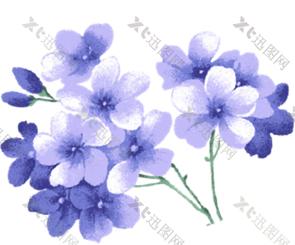紫色花卉植物元素素材