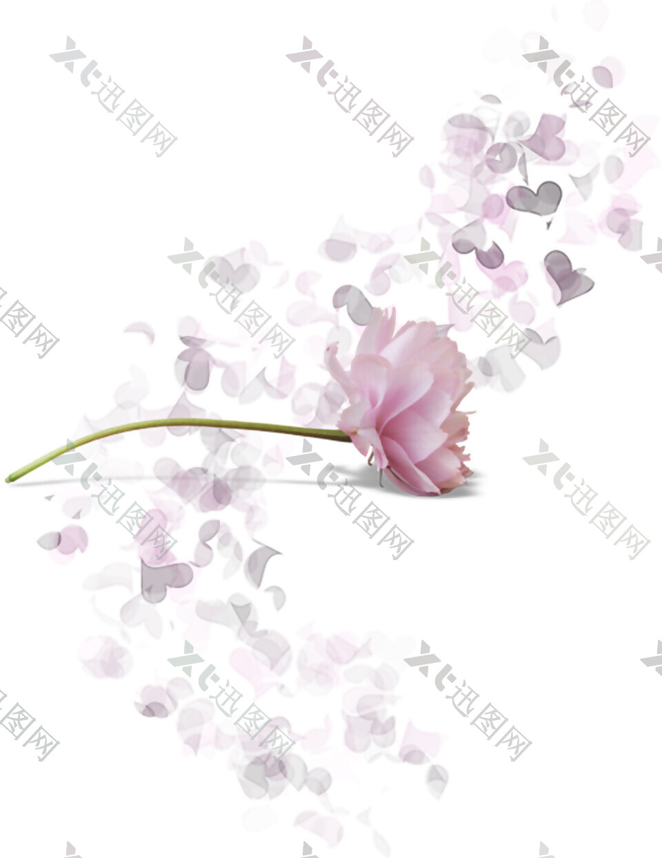 粉色花朵花瓣素材图片