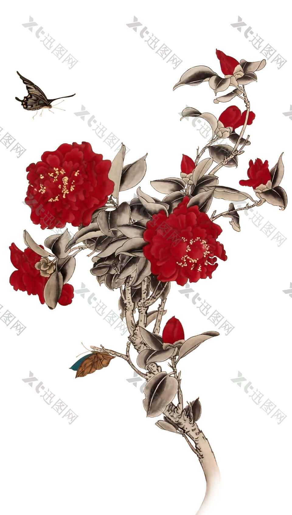 红色花朵素材图片