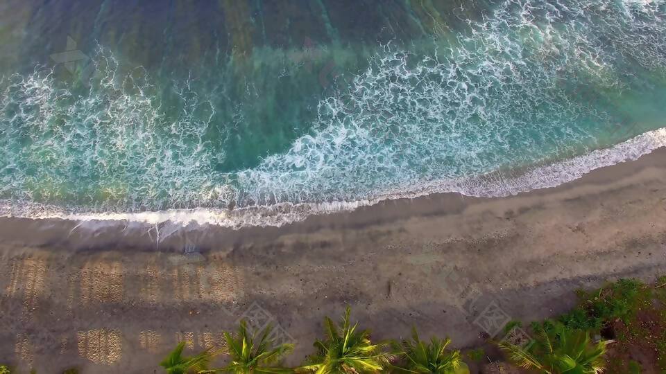 空中拍摄的海滩和棕榈树