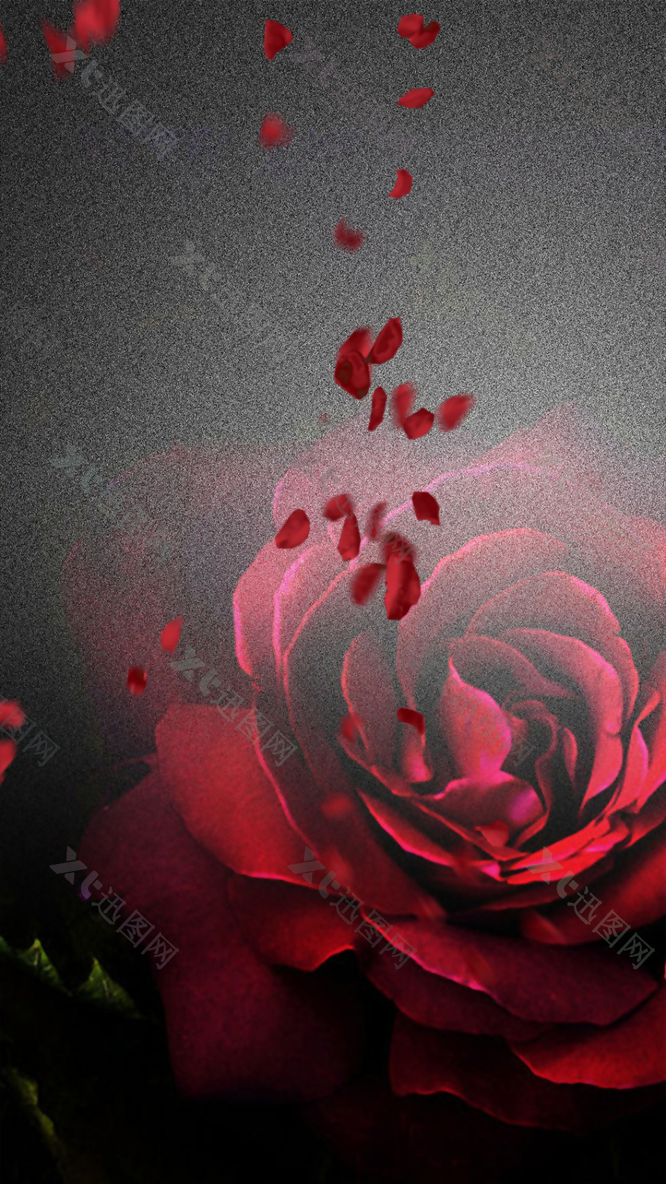 唯美红色玫瑰情人节H5背景素材