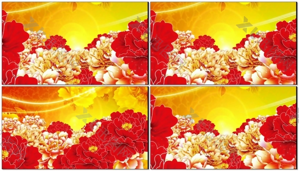 牡丹花国花中国风动漫花开视频素材