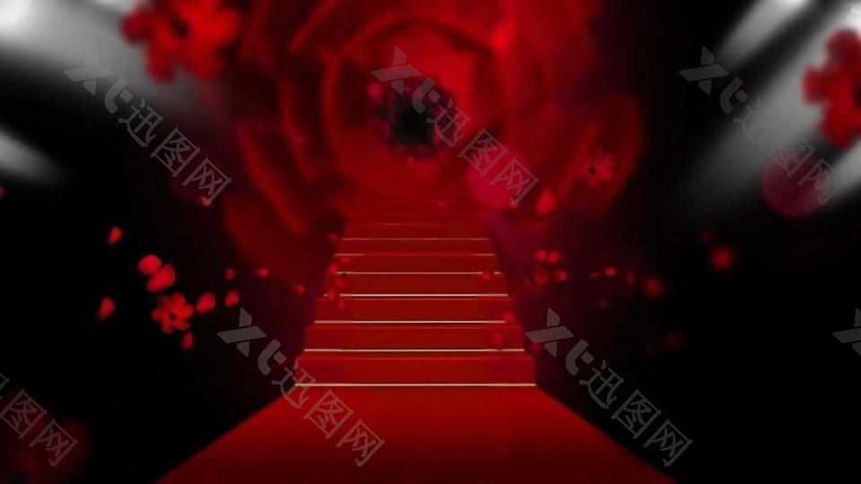 红色玫牡丹红地毯动态视频素材