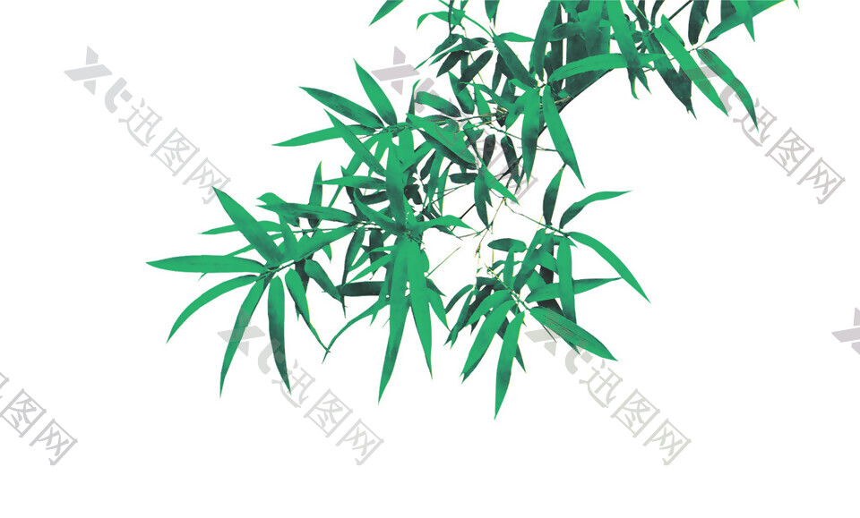 高清绿色竹叶图案